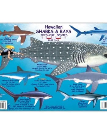 Cuba Sharks & Rays Franko Maps Laminated Fish Card 