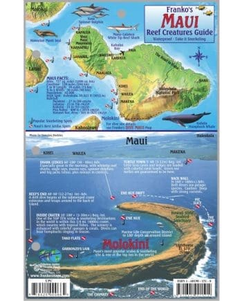 FISH CARD, MAUI REEF CREATURES