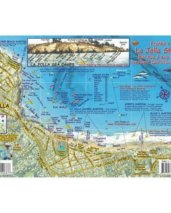 FISH CARD, LA JOLLA SHORES REEF CREATURES