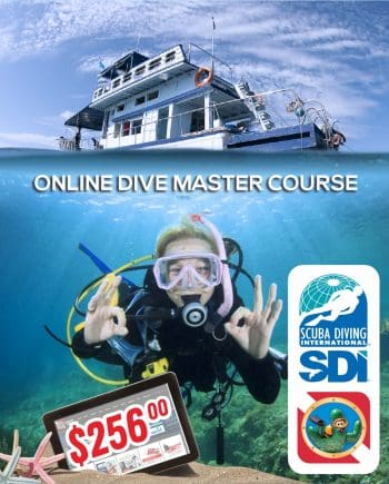 SDI DIVEMASTER COMPLETE COURSE