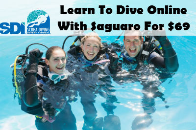 Open Water Scuba Certification (E-Learning) SDI