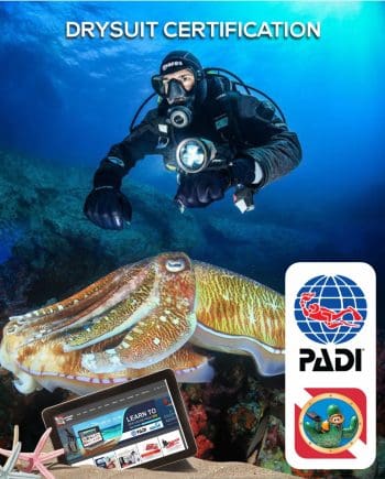 PADI Drysuit Certification