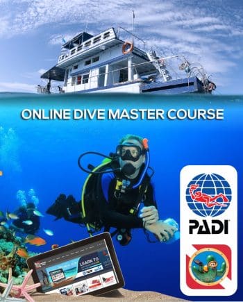 PADI Divemaster Certification Course