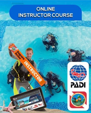PADI ONLINE INSTRUCTOR COURSE