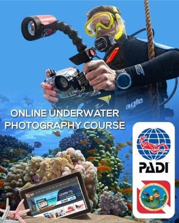 PADI ONLINE UNDERWATER PHOTOGRAPHY COURSE