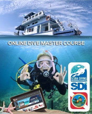 SDI Divemaster Certification Course at Saguaro Scuba
