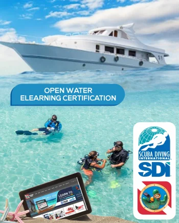 Learn To Dive Online With SDI (Twitter Special)