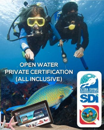 SDI Labor Open Water Private Certification