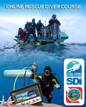 SDI RESCUE DIVER COURSE OPTIONS