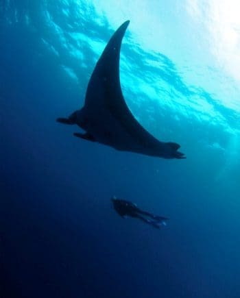 SDI OPEN WATER CERTIFICATION TRAINING