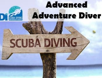 SDI ADVANCED ADVENTURE COURSE ELEARNING CODE