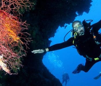 SDI Drift Diver Certification at Saguaro Scuba