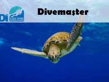 SDI DIVE MASTER CLASS, POOL & LAKE TRAINING DIVES