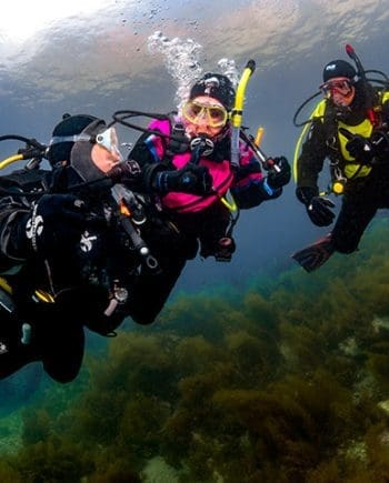 PADI DRYSUIT CLASS & TRAINING DIVES