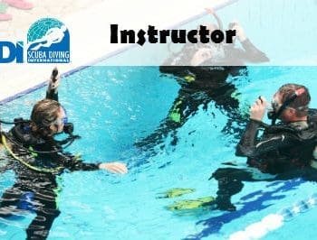 SDI ONLINE INSTRUCTOR ELEARNING