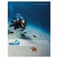 SDI OPEN WATER POOL TRAINING DIVES