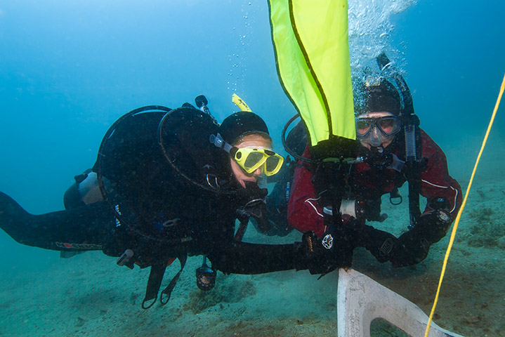 PADI SEARCH & RECOVERY CLASS & TRAINING DIVES
