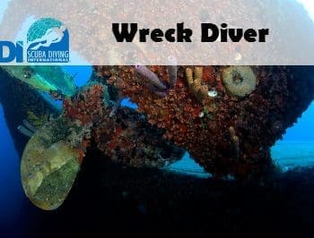 SDI WRECK CLASS & TRAINING DIVES