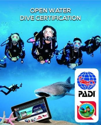 PADI Open Water Diver Certification- Complete