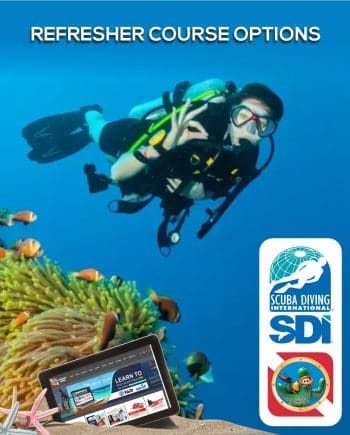 SDI Refresher Course Options