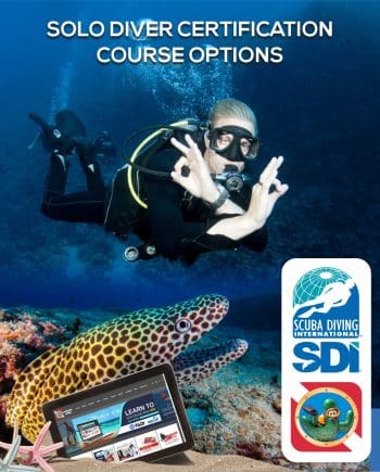 SDI SOLO DIVER CERTIFICATION COURSE OPTIONS