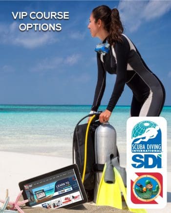 SDI VIP COURSE OPTIONS