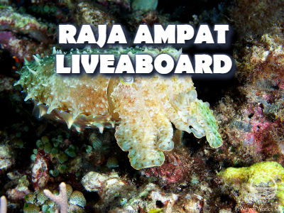 RajaAmpatmenu