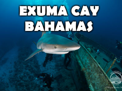 EXUMACAY