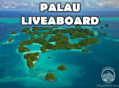 palau400