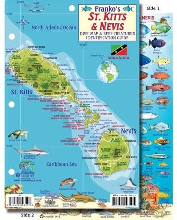 Franko St. Kitts and Nevis Reef Fish ID