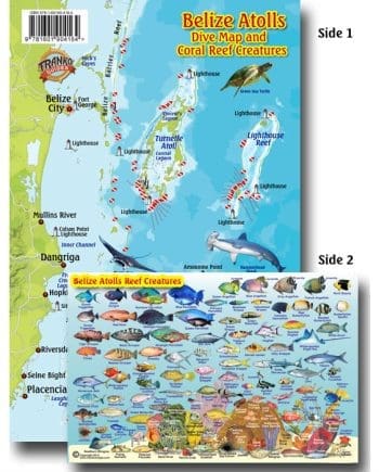 Franko Belize Fish ID Card