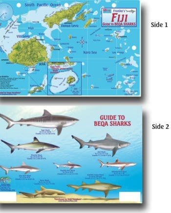Franko Fiji Shark ID Card
