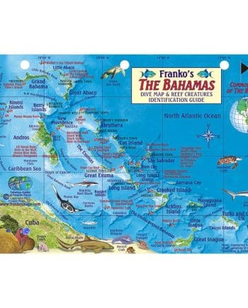 Franko Bahamas Fish ID Card