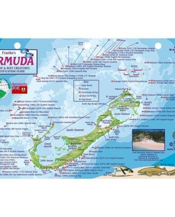Franko Bermuda Fish ID Card