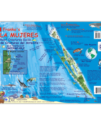 Franko Isla Mujeres Fish ID Card