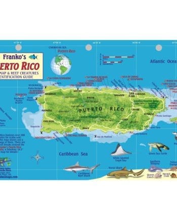 Franko's Puerto Rico Reef Fish ID