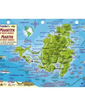 Franko's St. Martin Fish ID