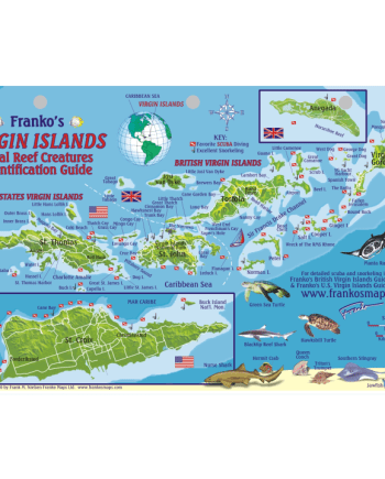 Franko Aruba Fish ID Card
