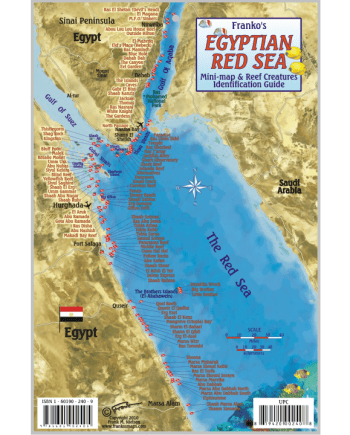 Franko Egyptian Red Sea Fish ID Card