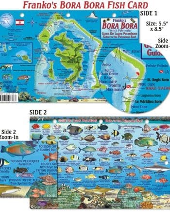 Franko Bora Bora Fish ID Card