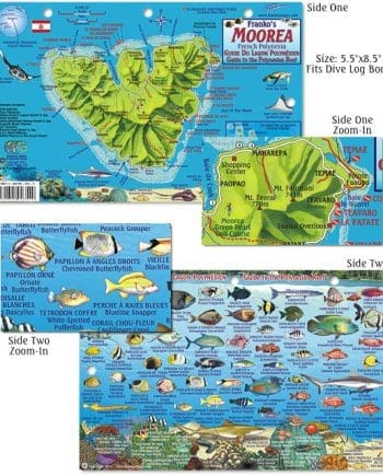 Franko Moorea Fish ID Card