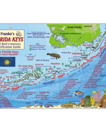 Franko Florida Keys Fish ID