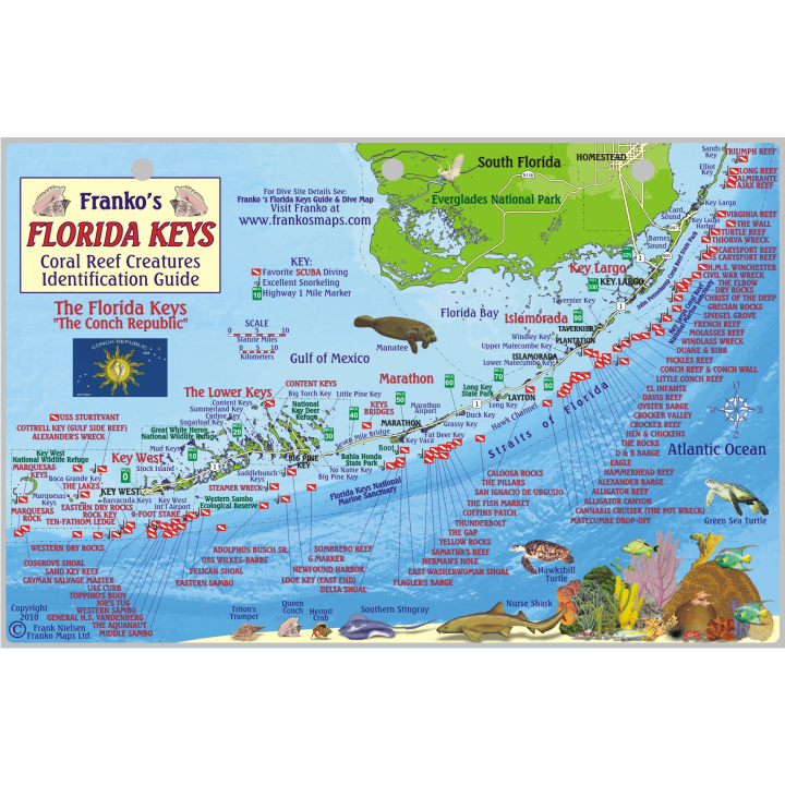 Florida Keys Dive Map & Reef Creatures Guide Waterproof Fish Card by Franko Maps 