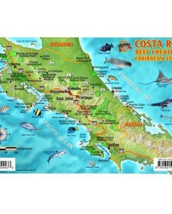 Franko's Costa Rica Caribbean Fish ID