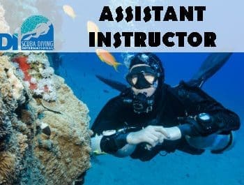 SDI Assistant Instructor Course at Saguaro Scuba