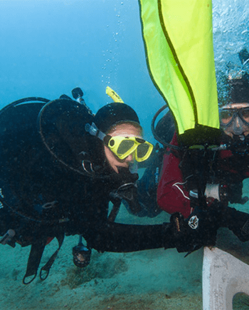 SDI SEARCH & RECOVERY TRAINING