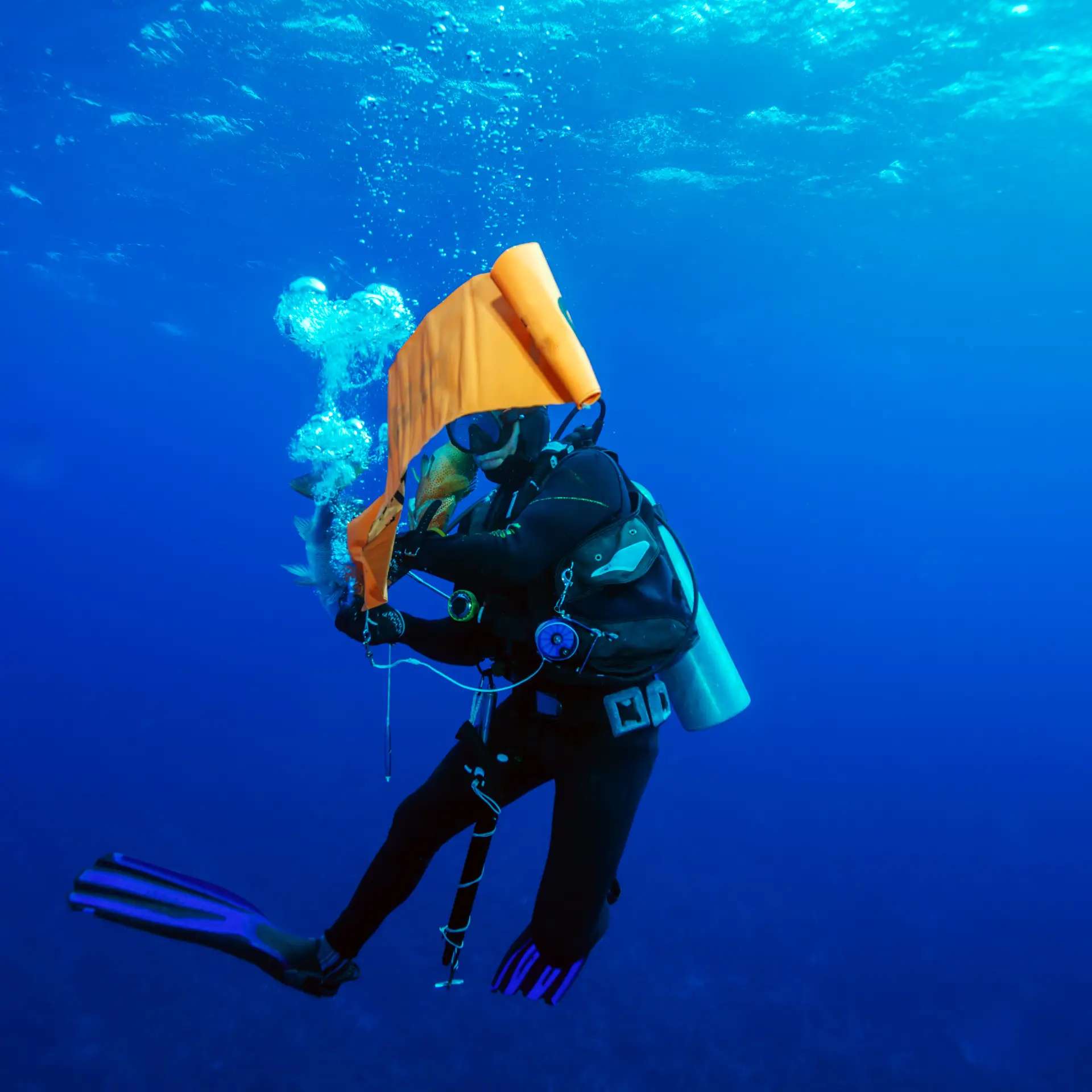 I. Introduction to Diving Insurance