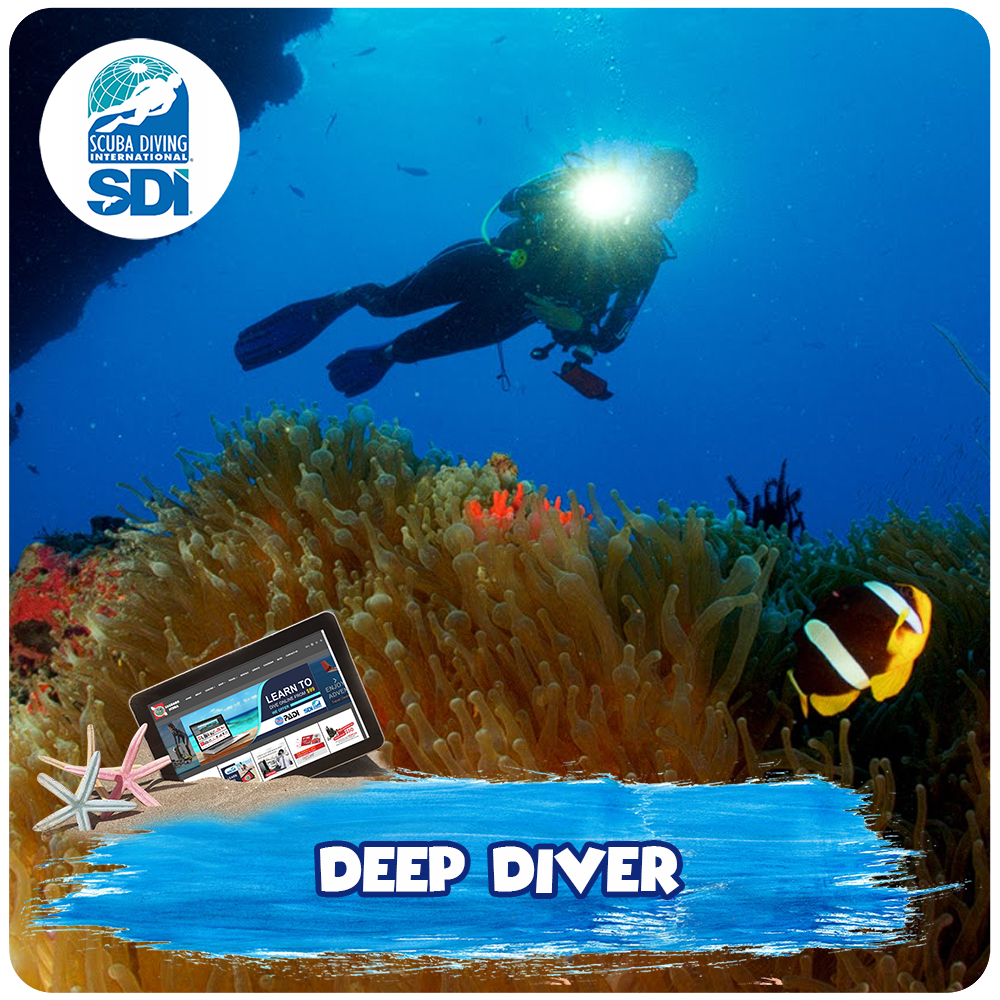 Deep Diver