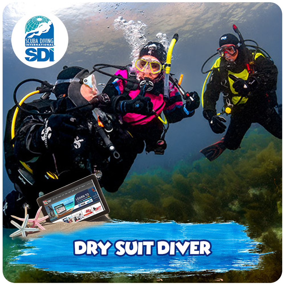 Dry Suit Diver