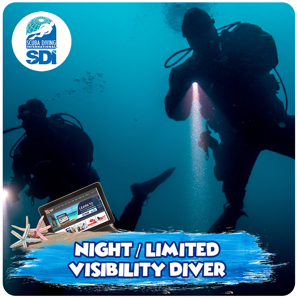 Night Limited Visibility Diver